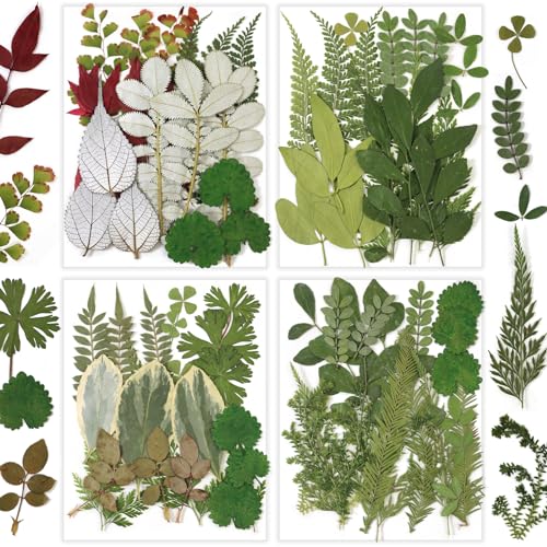Kit 84 piezas hojas y flores secas prensadas naturales miniatura 1