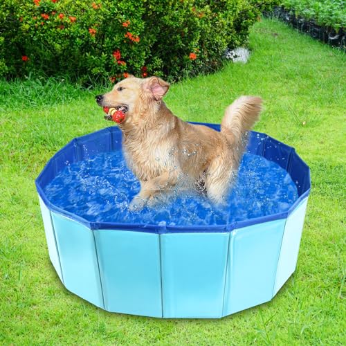 MAIROX Hunde Pool, Hunde Planschbecken, Faltbarer Pool für Hund und Katze, Hundebadewanne, Hundepool Klein, Hundepool fur Große Hunde, Bademuschel für Hunde mit Wasserablassventil (60 x 20 cm)