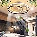 Ventilateur De Plafond Avec Éclairage LED Plafonnier Moderne Télécommande Dimmable Vitesse Du Vent Réglable Ventilateur Silencieux Avec Lumière Salon Chambre Salle À Manger Pendentif Lumière,53cm
