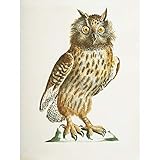 Deluxe heavyweight canvas for extra vibrancy and depth of colour.