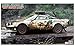Hasegawa Lancia Stratos HF '77 Safari Rally/New Parts Model Kit