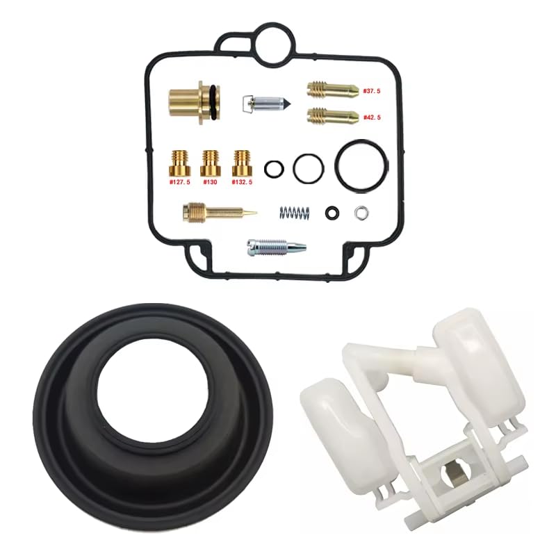 Kit carburateur DR250S avec flotteur et membrane pour moto 250 cc