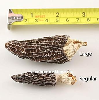 Premium A+ Grade Dried Wild Morel Mushrooms (Morchella) (4OZ pack,113g)