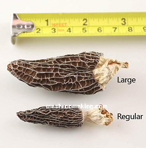 Premium A+ Grade Dried Wild Morel Mushrooms (Morchella) (4OZ pack,113g)