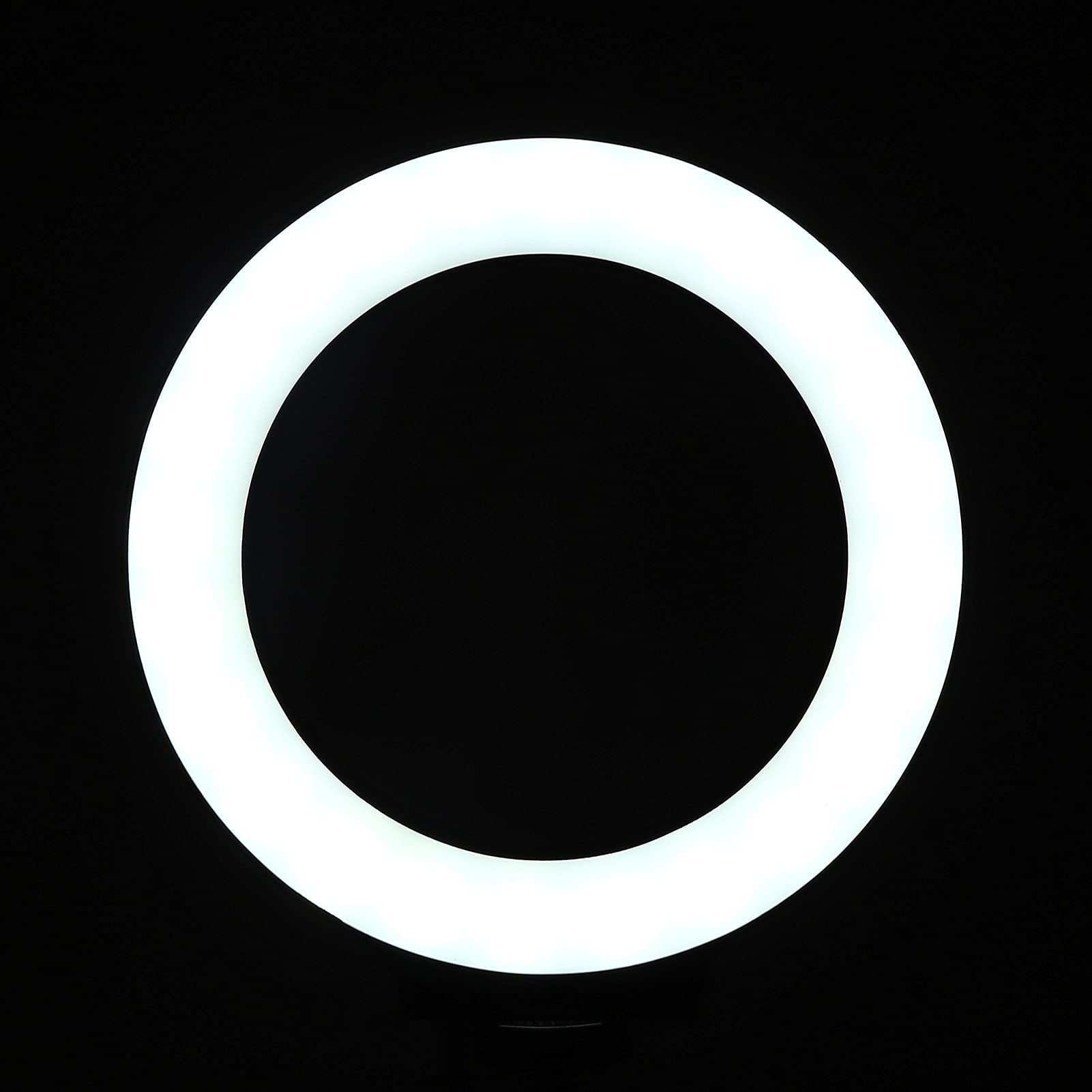 Anello di luce a LED dimmerabile da 6,2 pollici, luce di riempimento per fotografia con treppiede regolabile e supporto per telefono per studio di video trucco, anello di luce in l