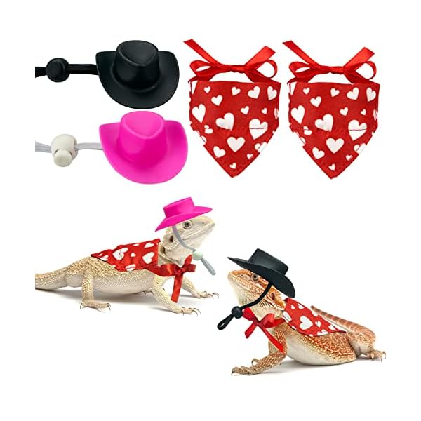 Vehomy 4pcs valentine's day bearded dragon outfit bearded dragon cowboy hat & lizard bandana small pet love heart scarf cowboy costume accessories for lizard hamster leopard gecko