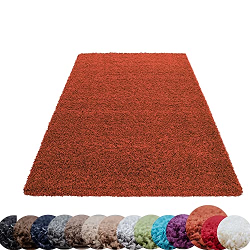 HomebyHome Shaggy Teppich Wohnzimmer Flauschiger Teppich Läufer Flur 60x110 cm Terra Einfarbig -...