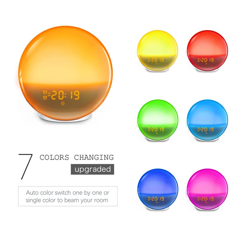 2 Pz Wake Up Light, Sveglia, con Simulazione Alba/Tramonto, Doppio Allarme e Funzione Snooze, 7 Suoni Naturali e Radio FM, Ideale per Regalo