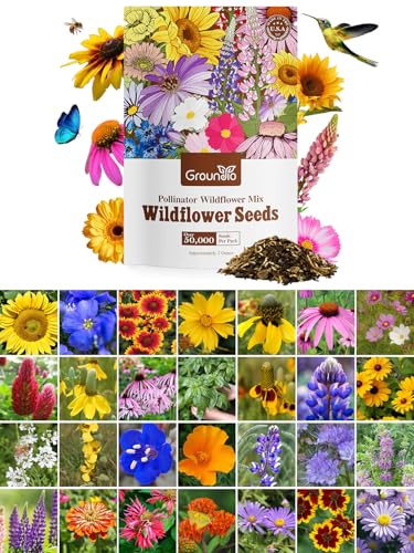 Groundio Wildflower Seeds Mix, 2 Oz, 50,000+ Seeds, 28 Varieties, Attracts Bees, Butterflies & Birds, Colorful Flowers
