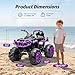 Hikiddo Shark Kids ATV 4 Wheeler, 24V 4WD Electric ATV Ride On Toy for Big Kids, 4X200W Motor, 5.6Mph Max Speed - Purple
