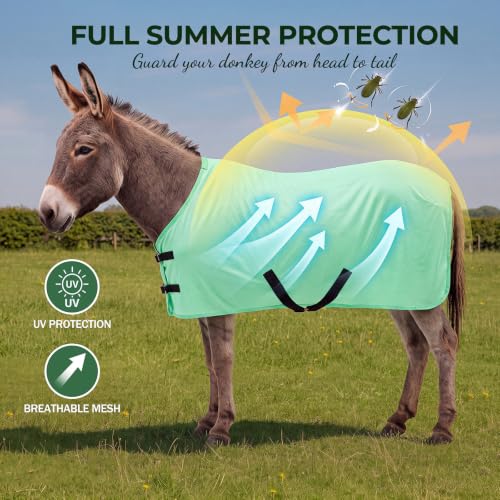 Image of Yeeyeplum Donkey Fly Sheet, UV Protection Mesh Fly Blanket,Mini