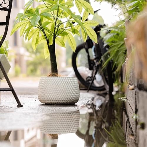 Jardinières pour arbres Yananzi grands pots de fleurs design chic