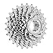 SRAM PG-1170 11-Speed Cassette with 11-25T Gearing
