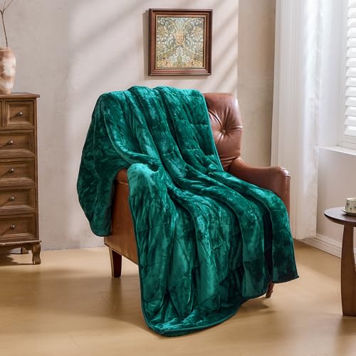 Super Fuzzy Soft Sherpa Fleece Weighted Blanket, 15 lbs Dual Sided Fluffy Heavy Weighted Blankets for Adults - No Bunching with Double Layers of Soft Inner Lining (48"x 72", 15 Pounds)