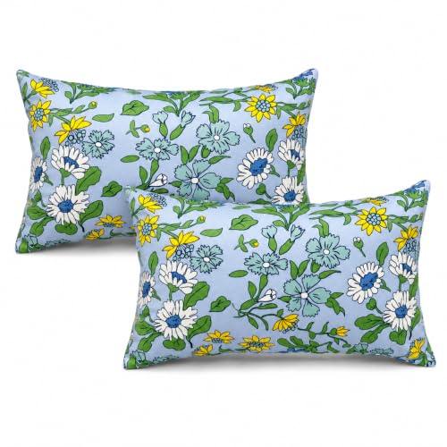 Outdoor Lumbar Pillows 12"x20" Waterproof Patio Pillows with Inserts