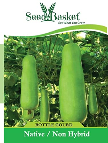 Seed Basket Desi/Heirloom Bottle Gourd Seeds for Home and Kitchen Gardening and Farming | 25 Seeds | Best in Germination | Free Growing Instruction Manual-image-23