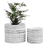 Padolitlay Plant Pots Indoor 2 Pack, 5 & 7 Inch Ceramic Planter Pots with Drainage Hole, Set of 2 Flower Pots - Herbs/Snake/Succulent/Orchid Cylinder Plant Pot(White)