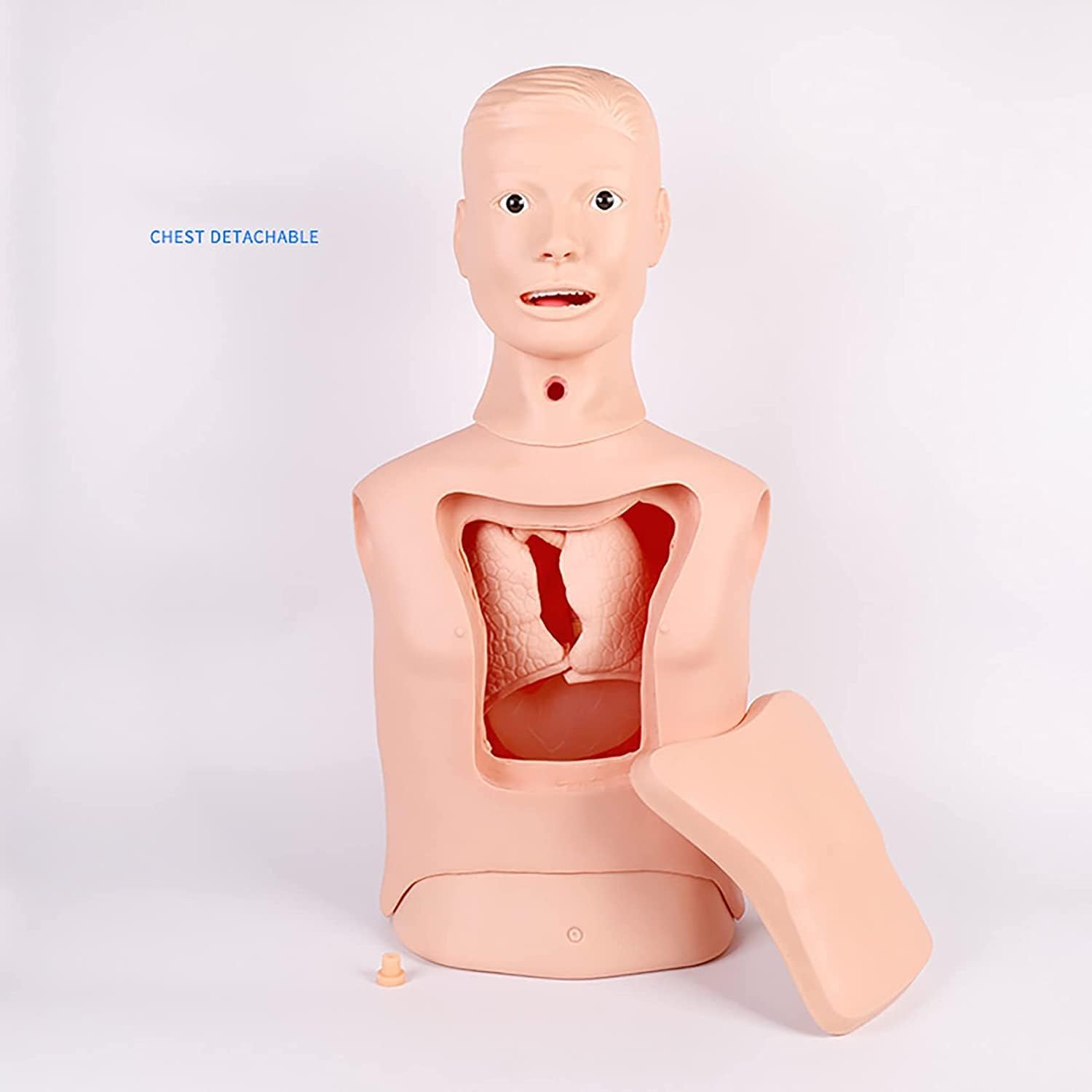 Half Body Manikin Teaching Models Advanced Nasogastric Tube and Trachea Care Model Gastric Lavage Tracheostomy Model