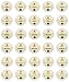 Caribou Coffee - Caribou Blend, Mahogany & Daybreak Morning Blend K-cup Sampler Pack for Keurig 2.0 - 30 Count/3 Varieties