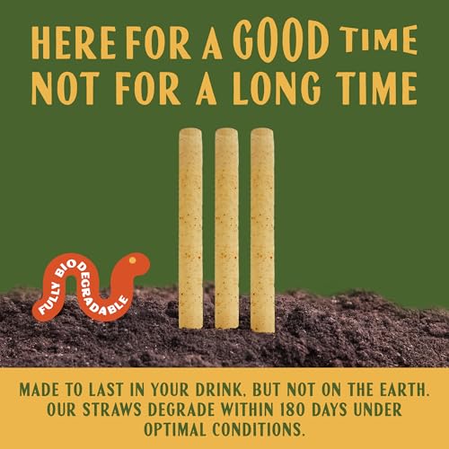 Agave Smoothie Straws - 100 unidades miniatura 4
