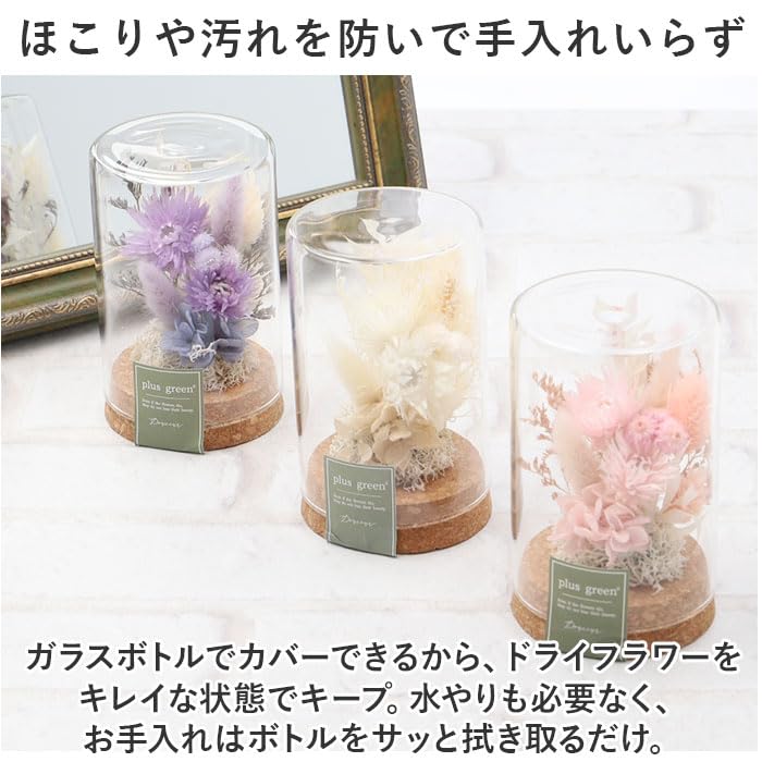 Amazon｜ドライフラワー コルクボトル ガラスボトル ピンク｜ドライ