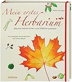  Mein erstes Herbarium - Bäume bestimmen und Blätter pressen