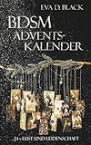 BDSM-ADVENTSKALENDER: 24 x Lust und Leidenschaft (David und Lea)