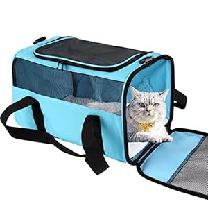 IONRIVER Cat Carriers Soft-Sided Carrier for Small Cats Dogs Puppies Under 15 Lbs,TSA Airline Approved,Collapsible Cat Travel Carrier (Medium,Blue)