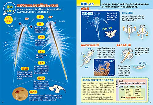 おばけえび飼育観察1 学研おばけえびすいすい水族館を購入