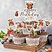 Talandale 25 Pcs Highland Cow Cake Topper Set, Birthday Decorations for Farm Animal Zoo Boy Girl Party