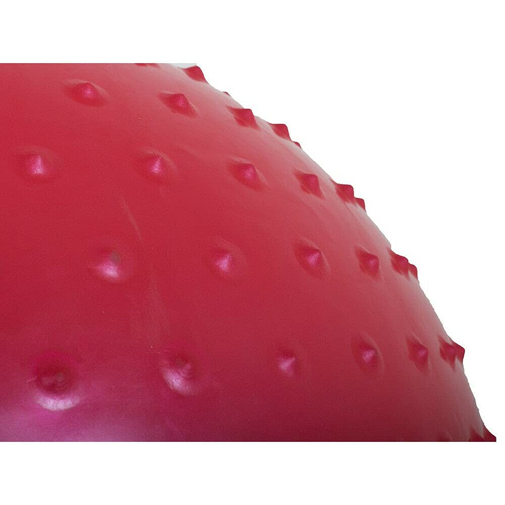 Palla Fitness POWRX 65 Cm – Antiscoppio, Per Yoga E Pilates, Con Pompa E Workout PDF, Colore Rosso Vino
