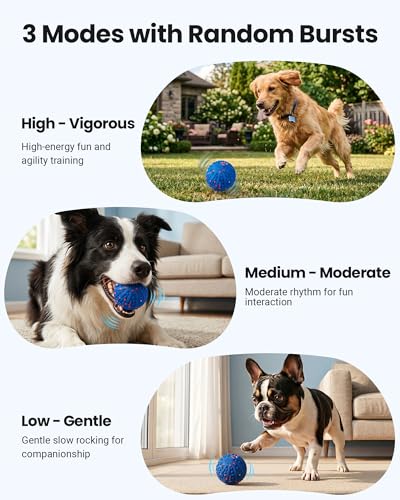 Balle interactive pour chien robotisée étanche IP67 en ETPU avec télécommande