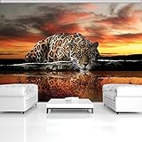 fototapete afrikanische tiere MONTAGE: Kinderleichtes Anbringen. Wand ankleistern, trockene Tapete an die Wand andrücken – FERTIG!Unsere Fototapeten werden mit den wasserbasierten Tinten von HEWLETT PACKARD gedruckt, daher keine unangenehme Geruchbildung nach dem Anbringen.