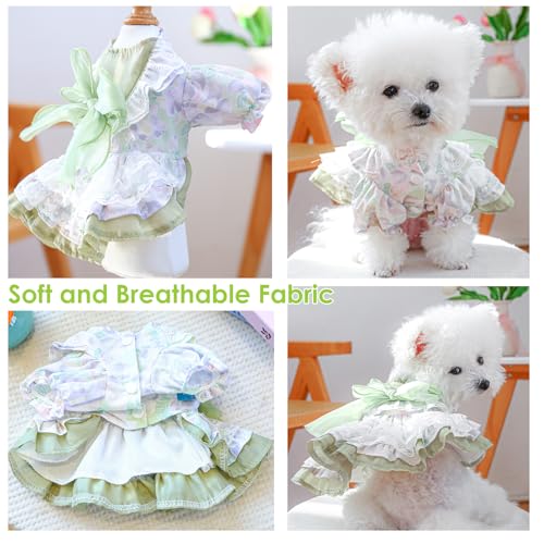 Robe pour chien princesse tutu à fleurs vertes taille XS - 6