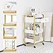 OmySalon Salon Trolley Cart with Wheels, Esthetician Cart with 1 Drawer & 2 Trays, Mobile Storage Organizer for Beauty Spa Massage Tattoo Esthetic Facial Tool Holder Station, White Marble