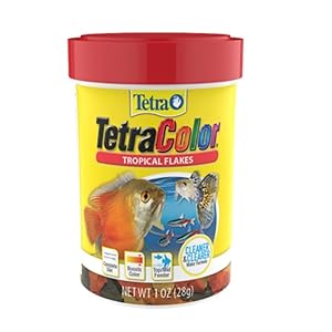 Tetra 77160 TetraColor Tropical Flakes, 1-Ounce, 185 ml