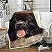 3D Impression Couverture Couverture Couverture Polaire Polaire en Peluche Couverture De Canapé Couverture De Repos De Bureau Literie Maison -Terre-Neuve