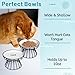 Wellbro Cat Bowls, Elevated Cat Bowl, Raised Ceramic Dish with Metal Stand, Pet Water or Food Feeding Station for Indoor Cats, Kitten, Puppies and Small Dogs, Dishwasher Safe
