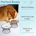 Cat Bowls, Elevated Cat Bowl, Raised Ceramic Dish with Metal Stand, Pet Water or Food Feeding Station for Indoor Cats, Kitten, Puppies and Small Dogs, Dishwasher Safe - Image 4