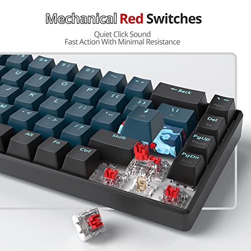 Image of 65 Percent Mechanical Gaming Keyboard 68 Keys RGB Gaming Keyboard with Red Switch Wired Keyboard for Windows PS4 /5 Xbox Gamers(68 Monster)