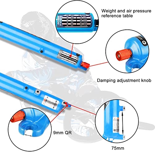 Ztz 26/27.5/29 Inch Mtb Bicycle Aluminum Alloy Air Suspension Fork,Rebound Adjust Straight Trail Qr 9Mm Joureny 120Mm Manual/Remote Lockout Xc Am Fr Mtb Front Fork (Blue-Straight-Manual Lock, 29'') #TOP3