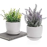 MyGift 4 Inch Ceramic Succulent Planter Flower Pots with Saucer, Set of 2, Off-White