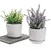 MyGift 4 Inch Ceramic Succulent Planter Flower Pots with Saucer, Set of 2, Off-White