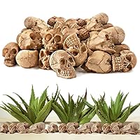 Halloween Mini Harz Totenkopf Set, 20Pcs Mini Deko Totenkopf Figur, Mini Totenkopf Schädel Modell, Mini Schädel Blumentopf Deko, für Halloween Landschaft Garten Topfpflanze Dekoration