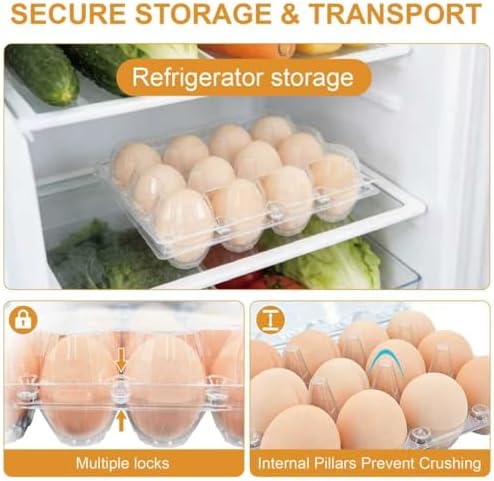 100 Pack 12 Count Plastic Egg Cartons β Bulk Cheap Clear Reusable | Egg Cartons Bulk, Egg Holder for Fridge, Egg Organizer for Refrigerator, Egg Storage for Refrigerator. - 5