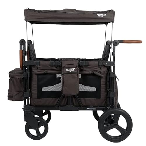 Top Best Luxury Double Stroller 2023 Highly