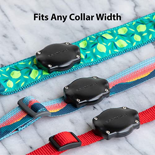 Tagvault Pet (4 Pack) - The Original Airtag Dog Collar Waterproof Mount, Ultra-Durable, Fits All Width Collars | Elevation Lab #TOP4
