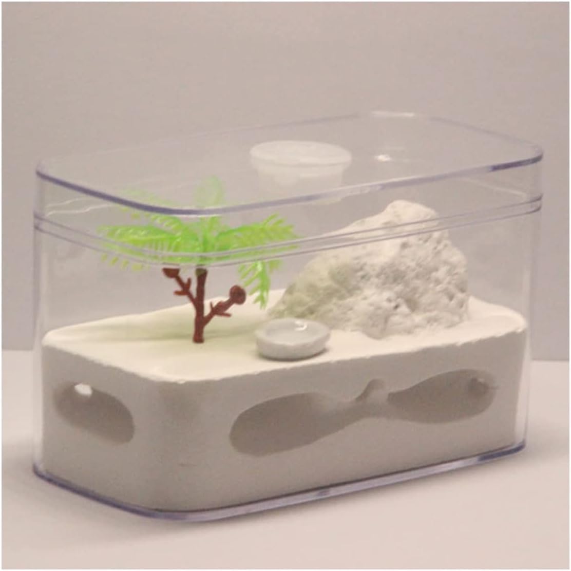 Stereoskopische Acrylbeobachtung Nest Bauernhof Ökologischer Gips-Ameisennistkasten Ameisenburg Ameisenkönigin Zuchthaus Villa Pädagogische Ameisenkolonie Beobachtungsbox Ameisenhügel Fütterung Werkst