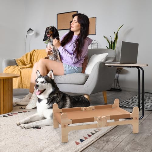 Panier pour chat d'extérieur anti-chaleur pour pelouse et camping - 3