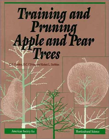 Training and Pruning Apple and Pear Trees